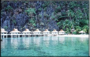 el nido