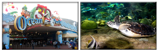 Hongkong Ocean Park