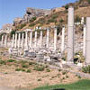 The_Agoras