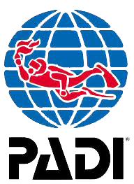 Padi